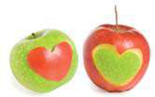 Higiene y desinfección