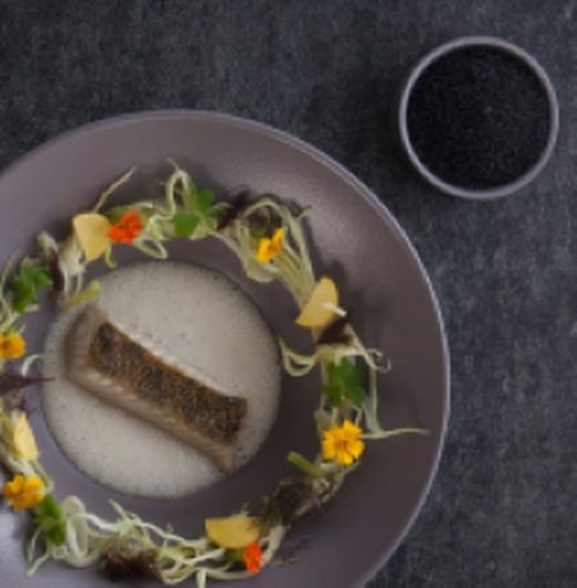 Platos para risottos y pasta