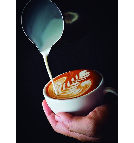 Lletera barista gris 0,50 l