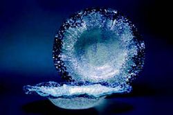 Plat degustació murà cobalt