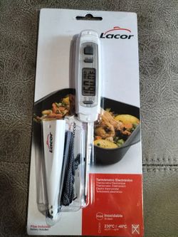 Termòmetre elèctric